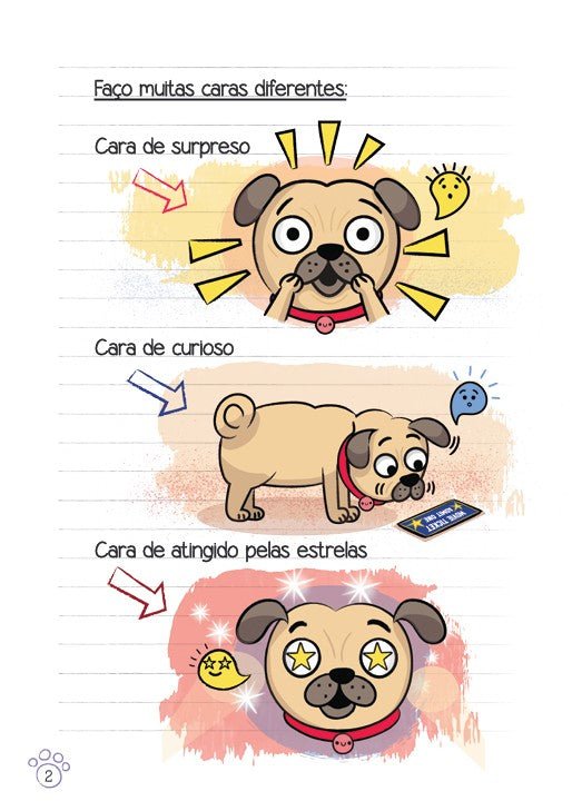 Kit Diário de Um Pug Coleção Completa - 15 Livros - Editora Fundamento livro_infantil
