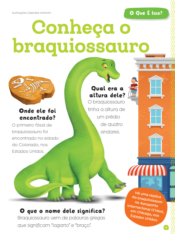 Kit Limonada Júnior - 12 Revistas - Editora Fundamento livro_infantil