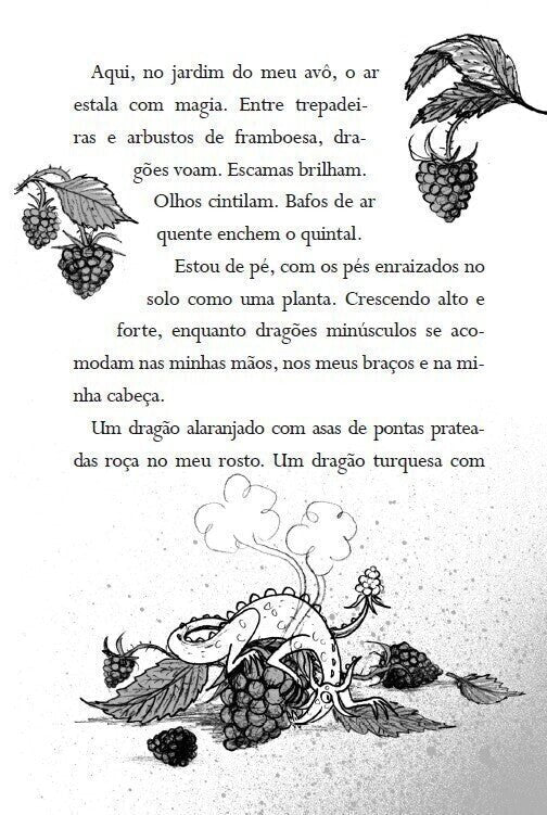 Kit O Menino Que Criava Dragões Coleção Completa - 5 Livros - Editora Fundamento livro_infantil