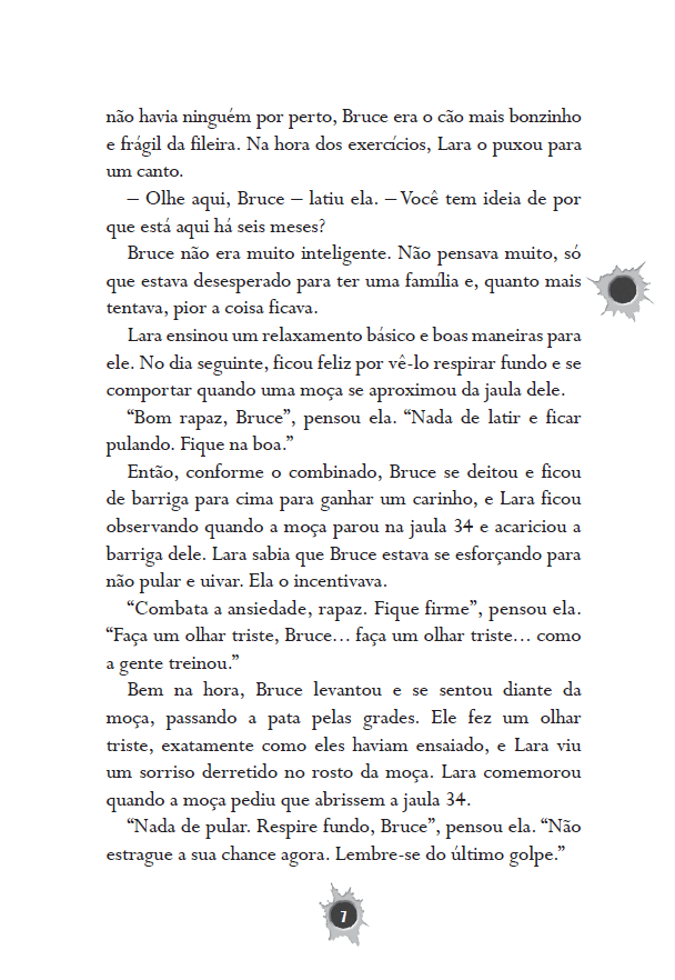 Kit Spy Dog - 7 Livros - Editora Fundamento livro_infantil