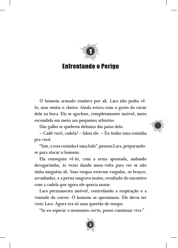 Kit Spy Dog - 7 Livros - Editora Fundamento livro_infantil
