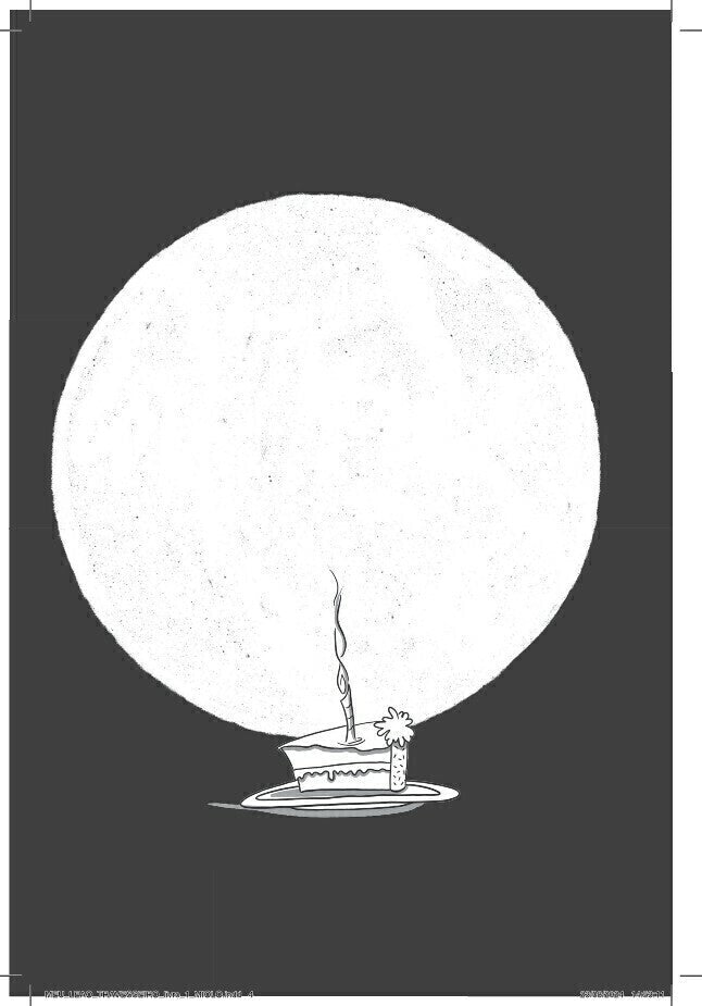 Meu Leão Travesseiro 1 - Editora Fundamento livro_infantil