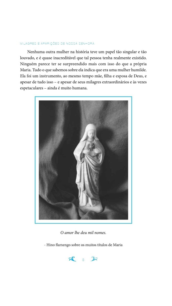 Milagres e Aparições de Nossa Senhora - Editora Fundamento #livro_infantil#