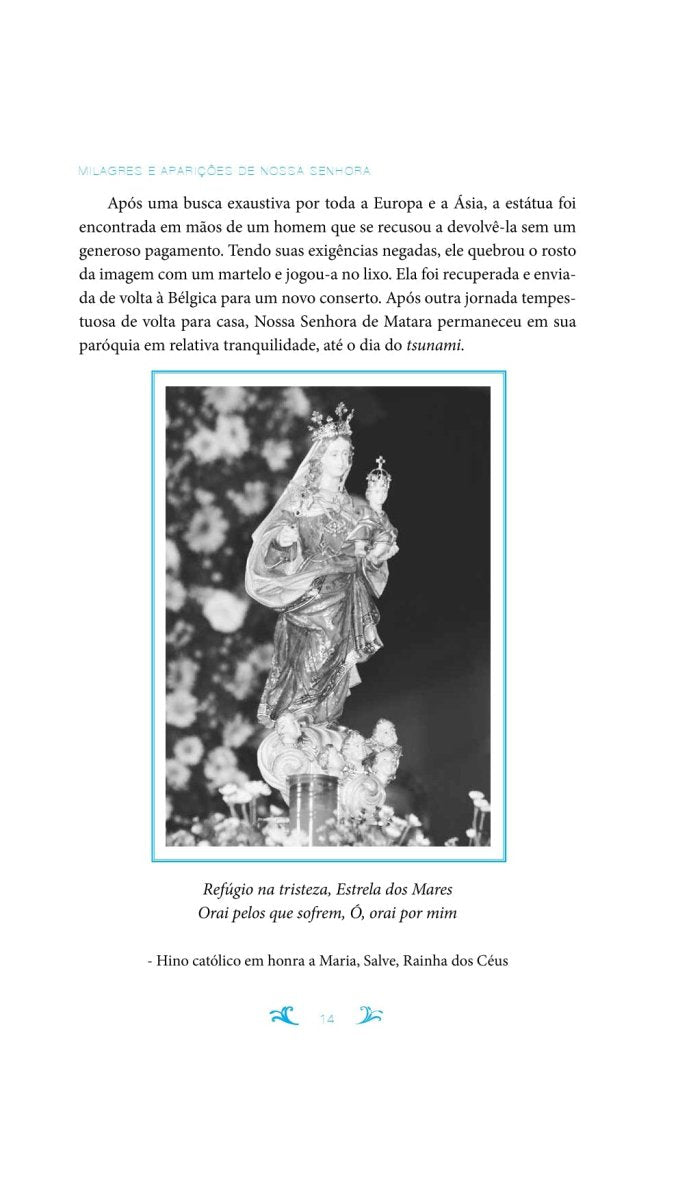 Milagres e Aparições de Nossa Senhora - Editora Fundamento #livro_infantil#