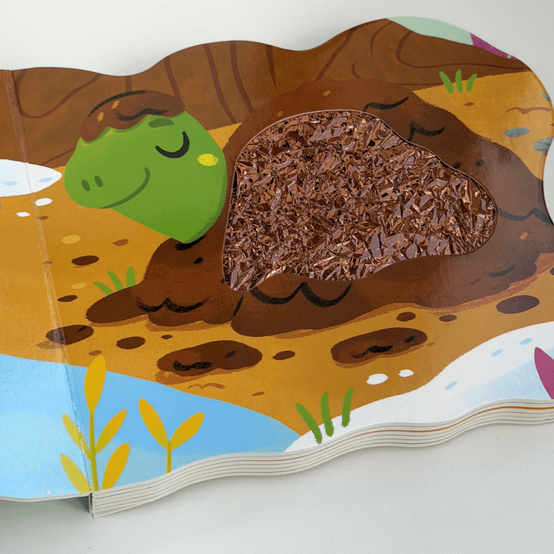 Minha Amiga Tartaruga - Editora Fundamento livro_infantil