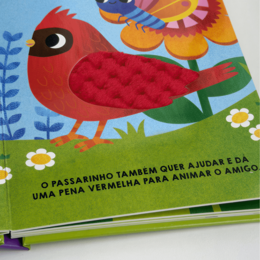 O Caracol Colorido - Editora Fundamento livro_infantil