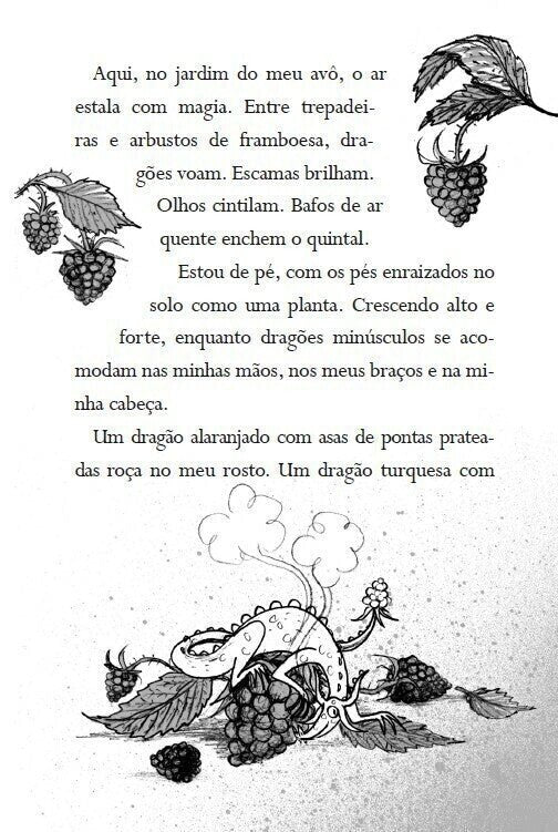 O Menino Que Cantava com Dragões - Série o Menino Que Criava Dragões. Vol 5 - Editora Fundamento livro_infantil