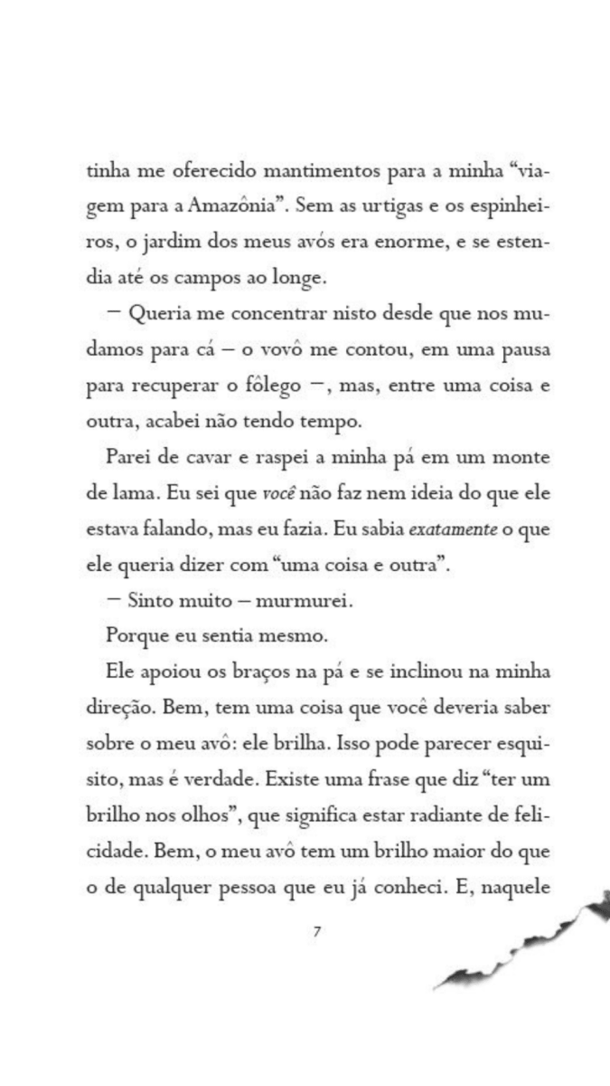 O Menino Que Criava Dragões - Vol. 1 - Editora Fundamento livro_infantil
