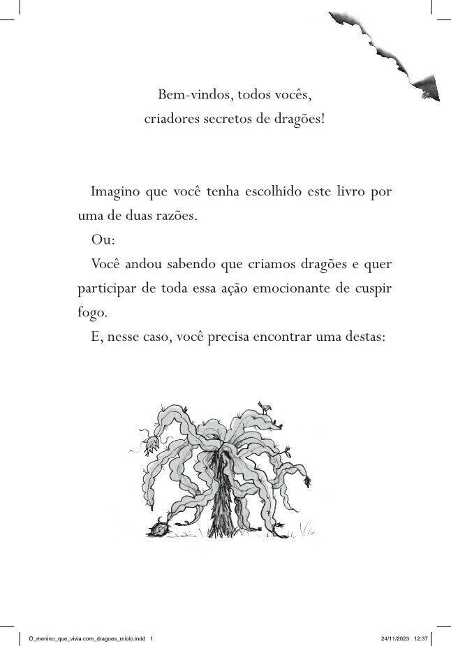 O Menino Que Vivia com Dragões - Série o Menino Que Criava Dragões, Vol. 2 - Editora Fundamento livro_infantil