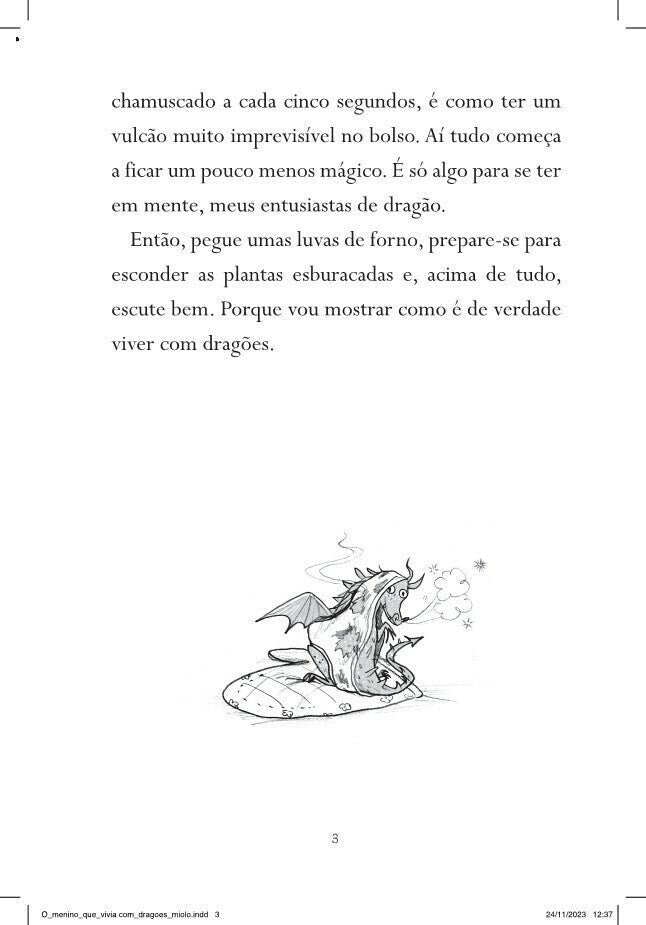 O Menino Que Vivia com Dragões - Série o Menino Que Criava Dragões, Vol. 2 - Editora Fundamento livro_infantil