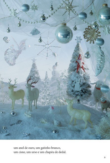 Onde Está? Natal - Editora Fundamento livro_infantil