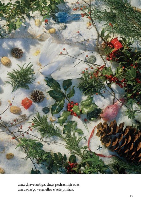 Onde Está? Natal - Editora Fundamento livro_infantil