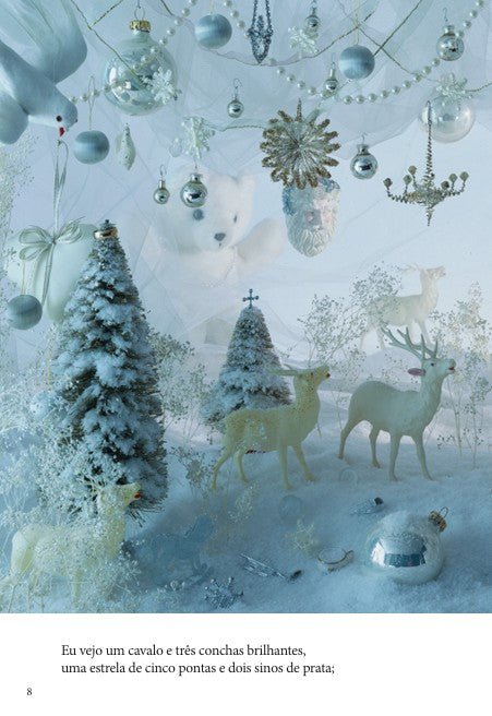 Onde Está? Natal - Editora Fundamento livro_infantil