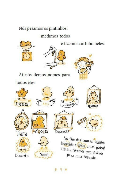 Os Desenhos Secretos de Olívia 5: o Grande Mistério das Galinhas - Editora Fundamento livro_infantil