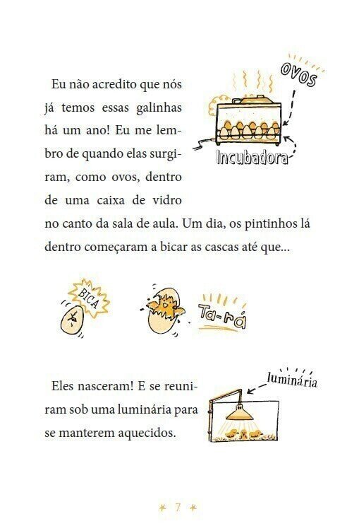 Os Desenhos Secretos de Olívia 5: o Grande Mistério das Galinhas - Editora Fundamento livro_infantil
