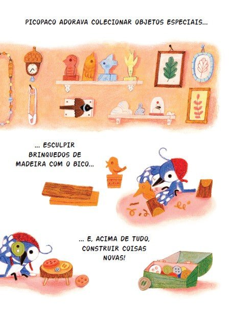 Picopaco: a Pica - pau Que Construiu Uma Cidade - Editora Fundamento livro_infantil