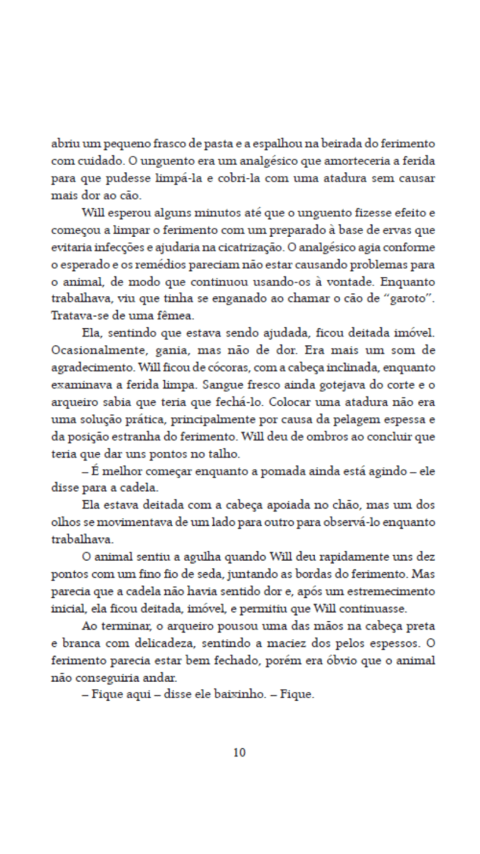 Rangers Ordem dos Arqueiros 05 - Feiticeiro do Norte - Editora Fundamento livro_infantil