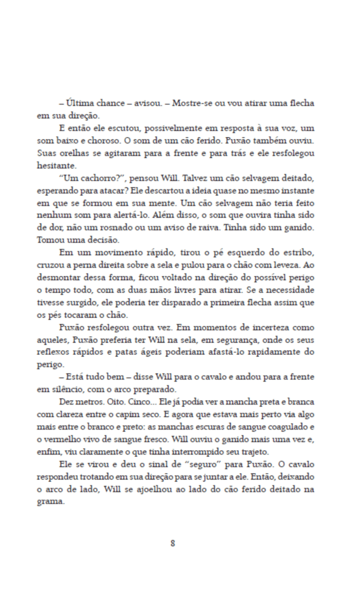 Rangers Ordem dos Arqueiros 05 - Feiticeiro do Norte - Editora Fundamento livro_infantil