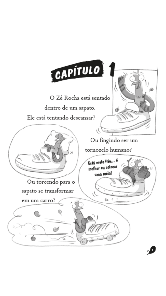 Real Pigeons: Protegem o Lar - Editora Fundamento livro_infantil