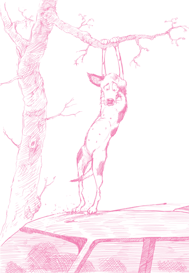 Spy Dog 7 - Natal Radical - Editora Fundamento livro_infantil