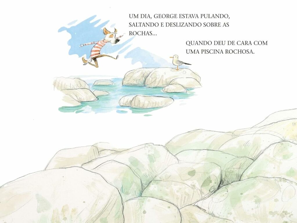 Um Amigo para George - Editora Fundamento livro_infantil