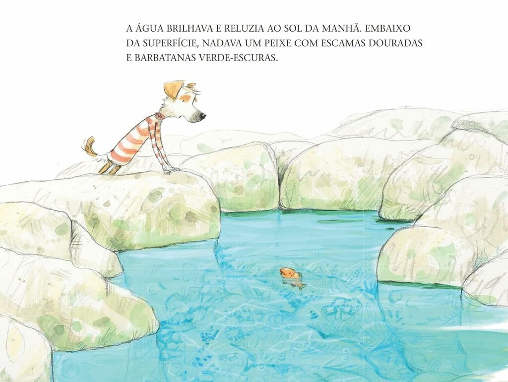 Um Amigo para George - Editora Fundamento livro_infantil