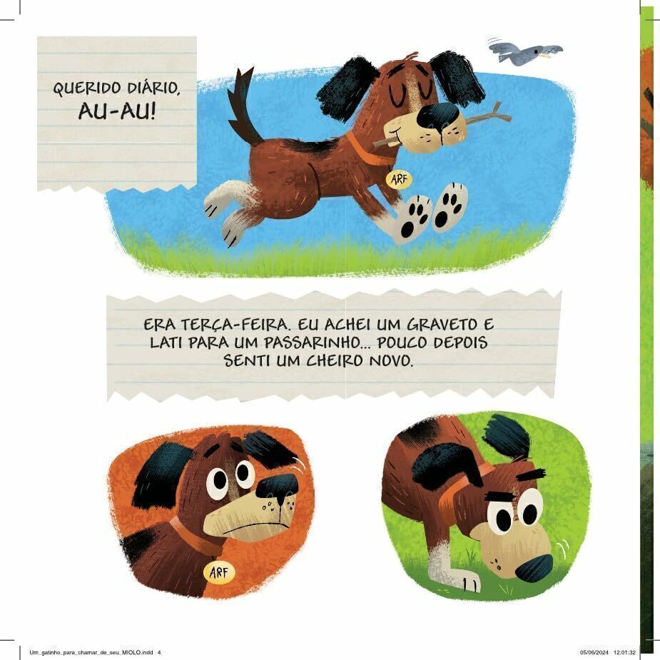 Um Gatinho para Chamar de Seu - Editora Fundamento livro_infantil