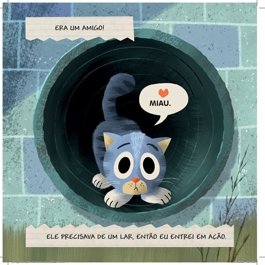 Um Gatinho para Chamar de Seu - Editora Fundamento livro_infantil