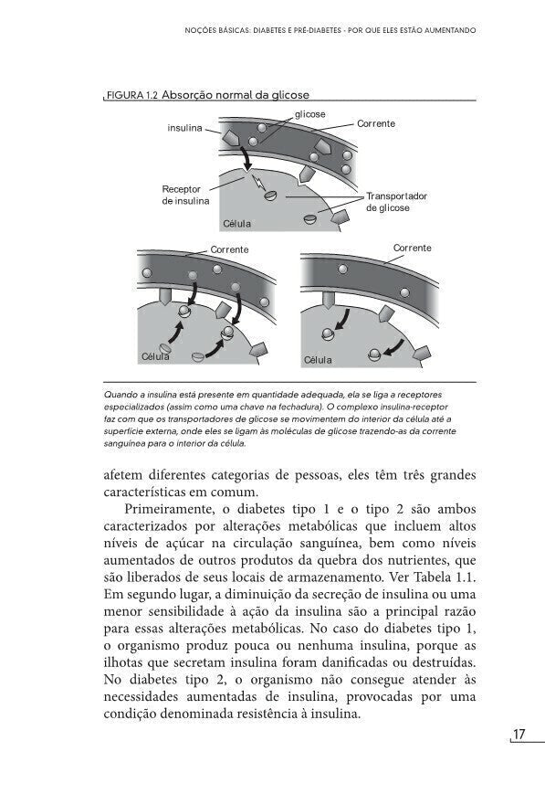 Vença o Diabetes - Editora Fundamento livro_infantil