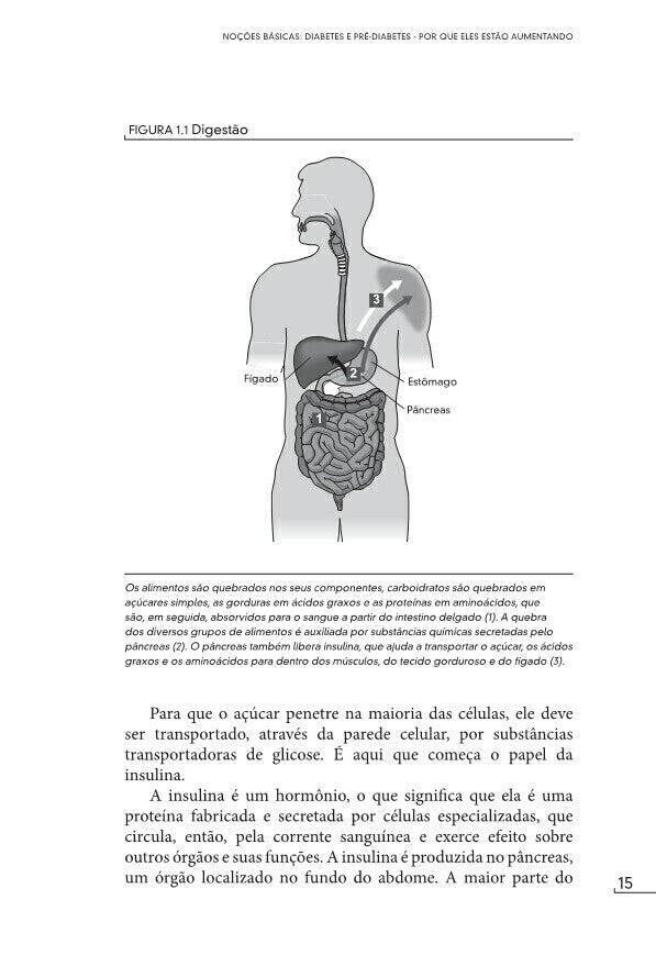 Vença o Diabetes - Editora Fundamento livro_infantil